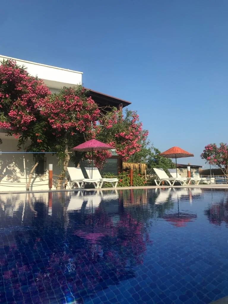 Yılmaz Beach Hotel-19