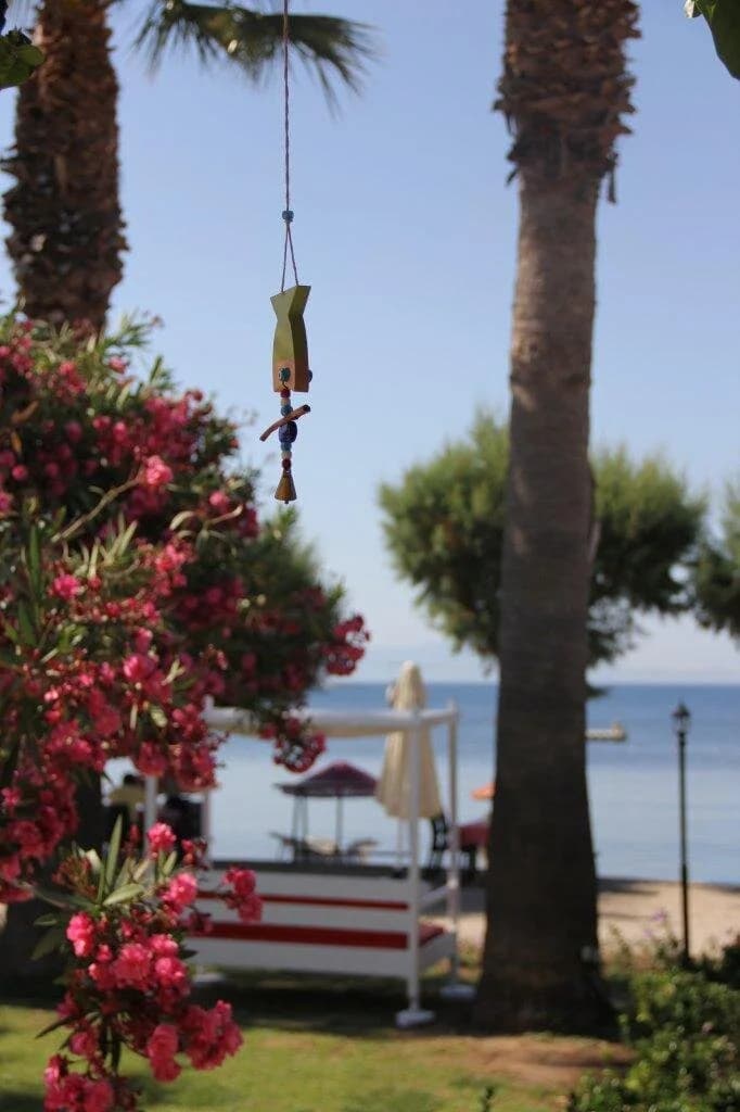 Yılmaz Beach Hotel-5