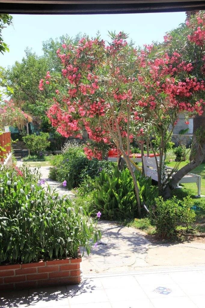 Yılmaz Beach Hotel-15