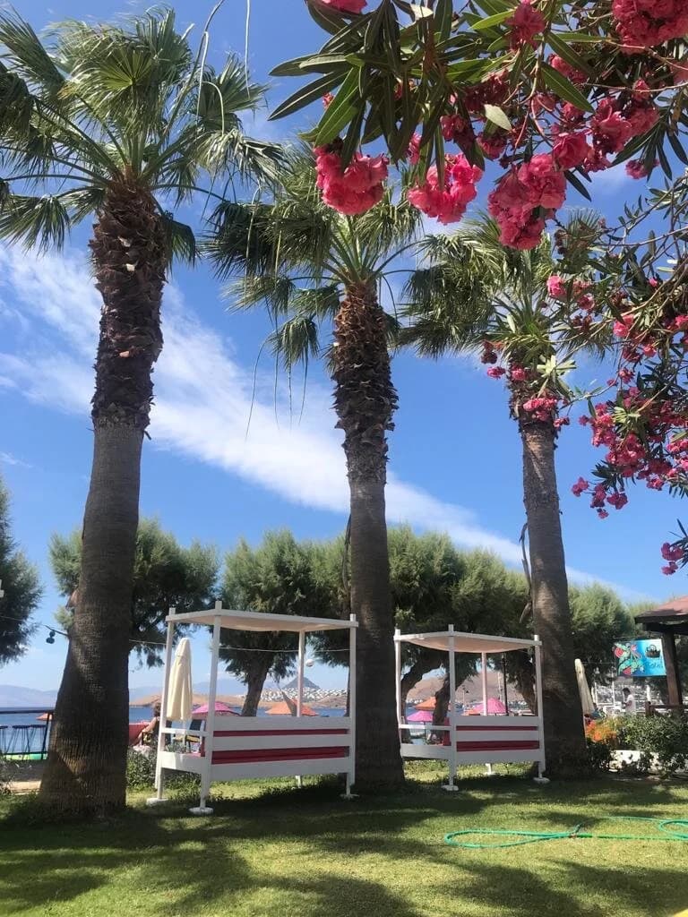 Yılmaz Beach Hotel-16