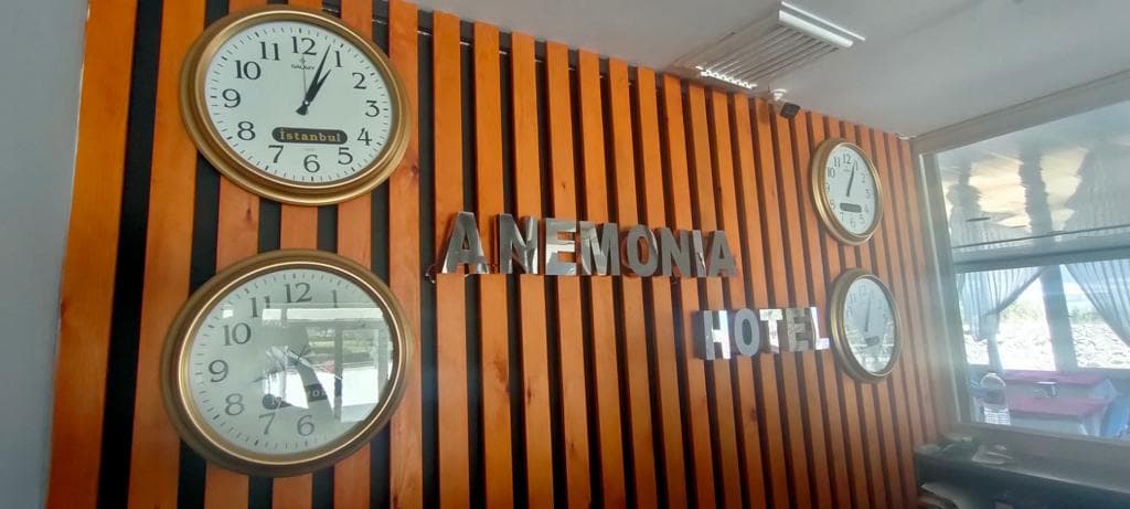 Hotel Anemonia-11