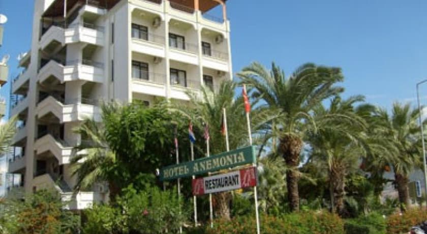 Hotel Anemonia-37