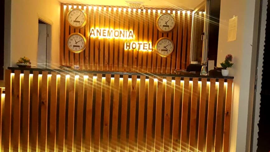 Hotel Anemonia-17