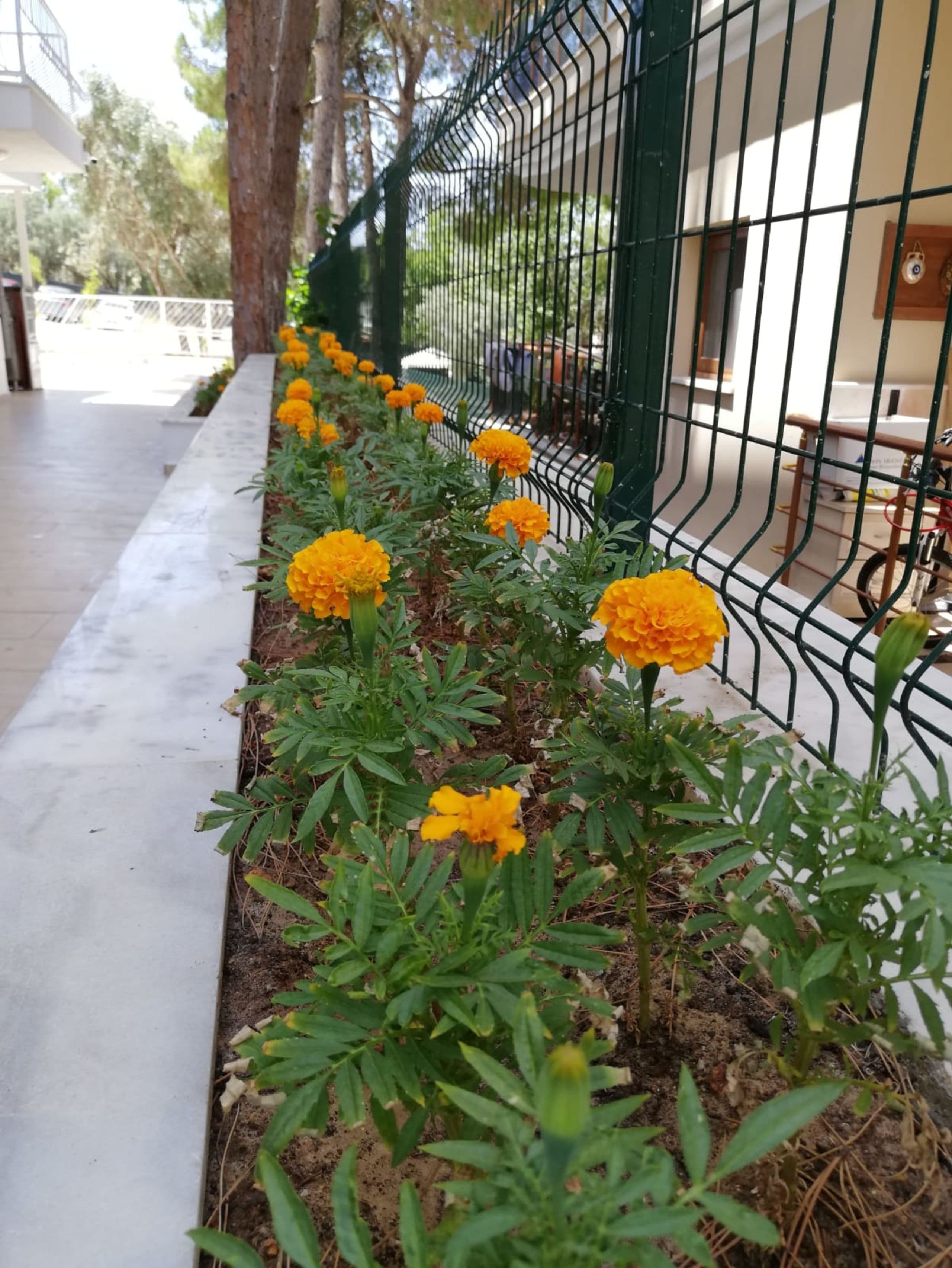 Çiçek Apart Otel-43