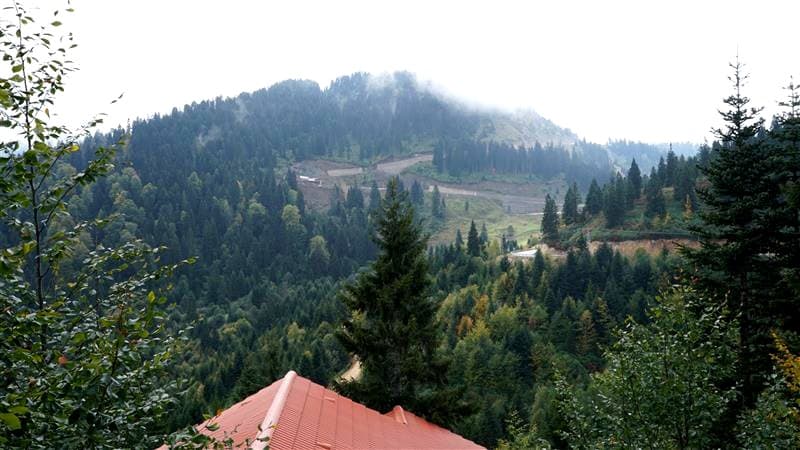 Foleya Mountain Resort-9