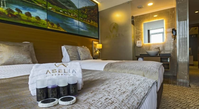 Aselia Hotel Trabzon-28