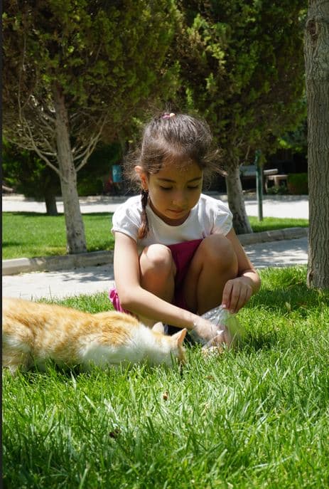 Başaranlar Termal-27