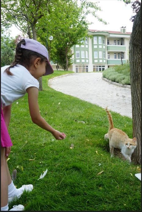 Başaranlar Termal-30