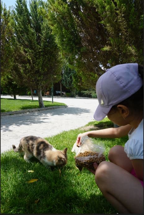 Başaranlar Termal-28