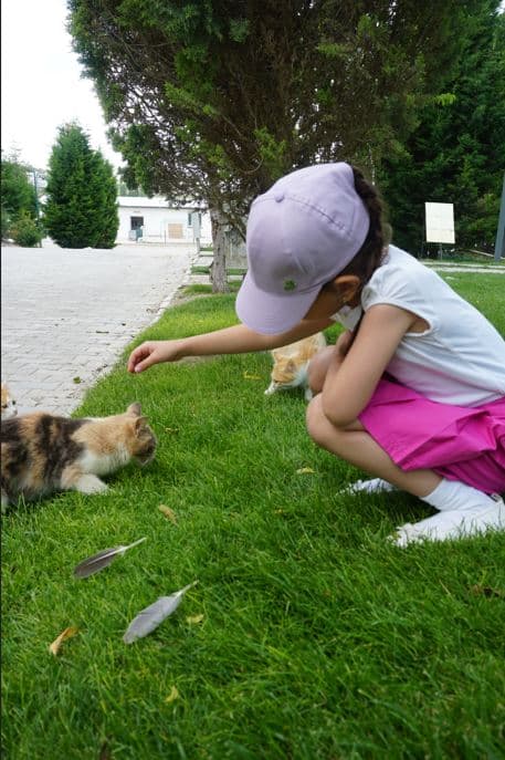 Başaranlar Termal-29