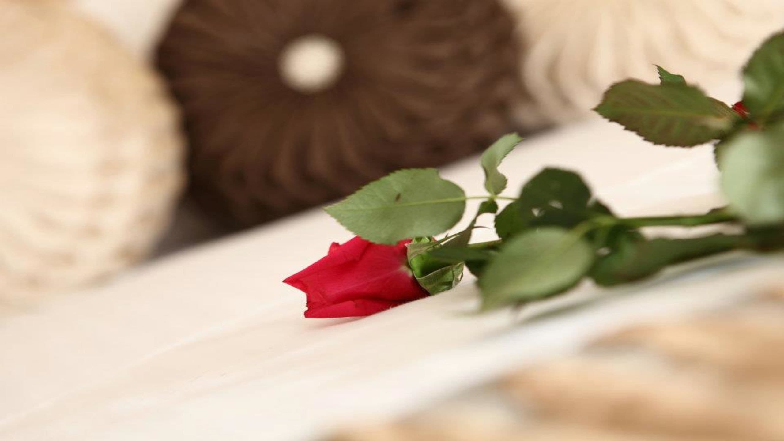 Sivas Sultan Otel-24