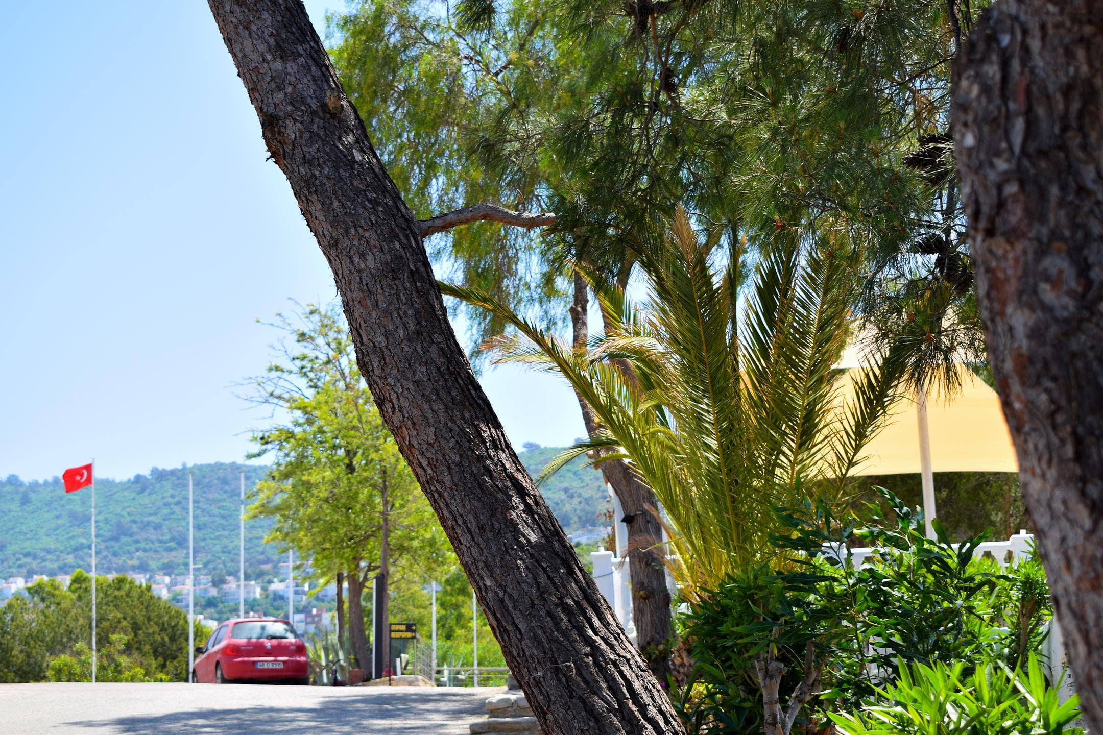 Roseira Beach Resort-54