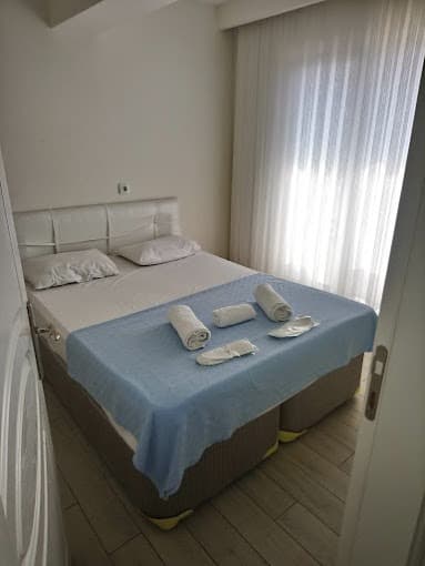 Aslan Luxury Concept-1