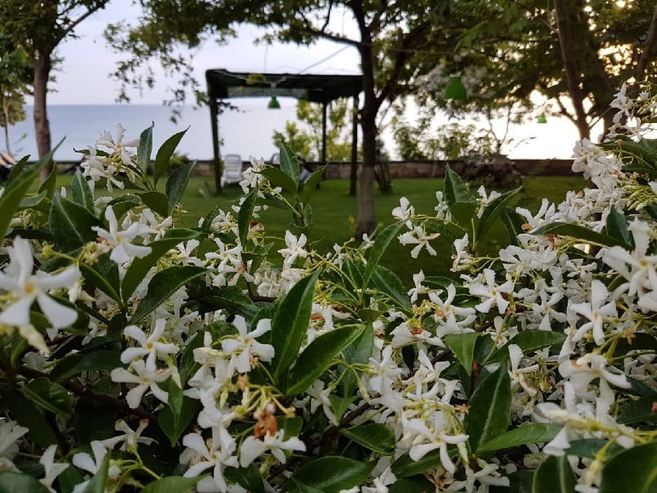 Troas Beach Hotel-14