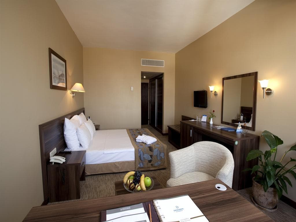 Plaza Hotel Diyarbakır-8