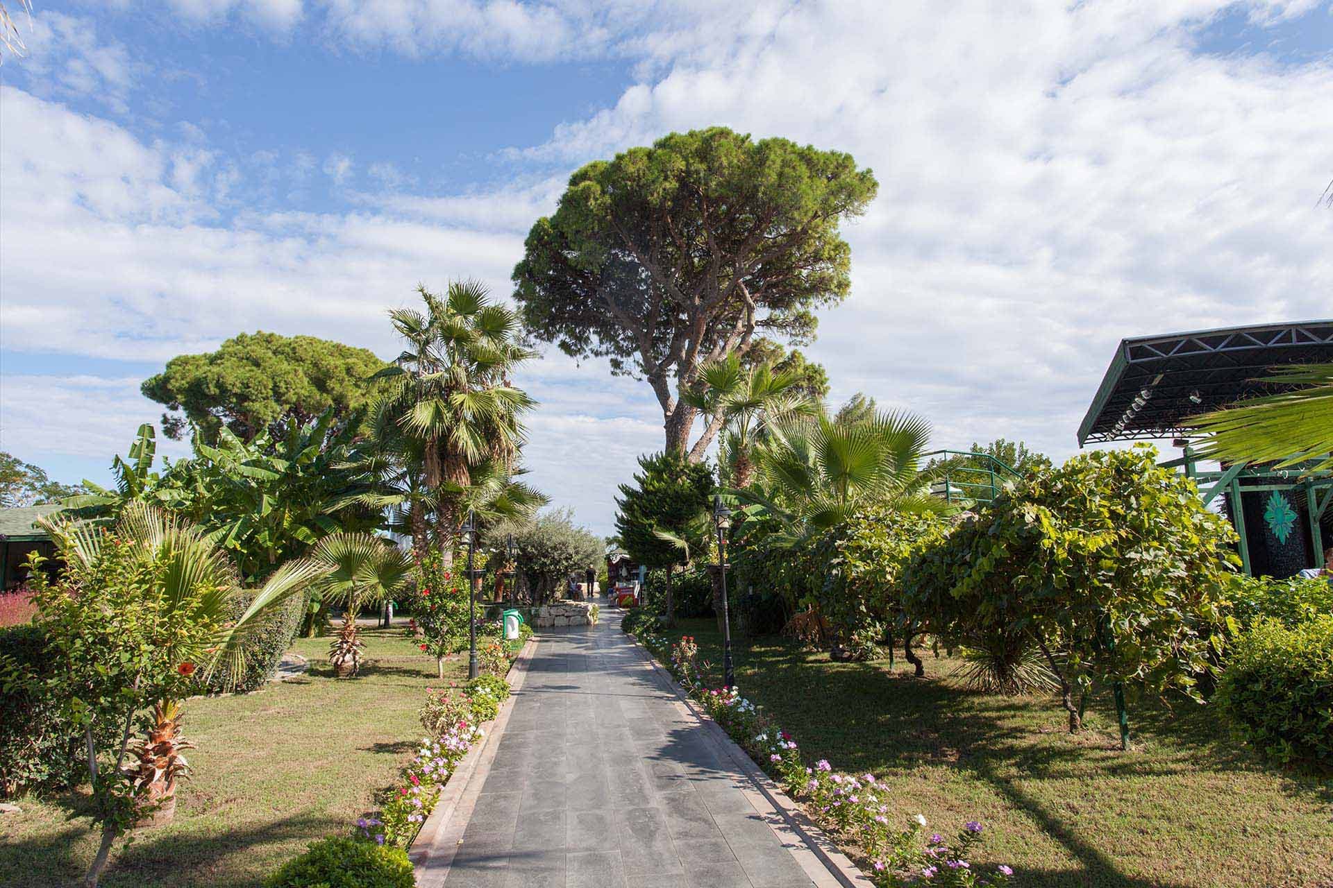 Zena Resort Hotel-54