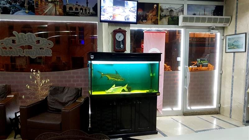 Balkan Palace Edirne-4