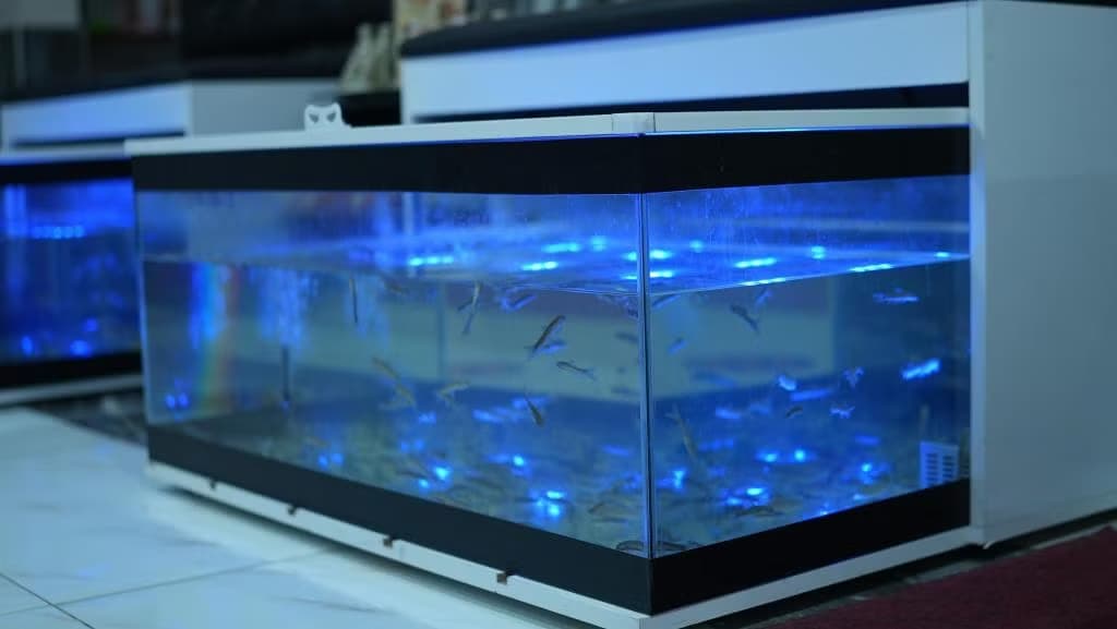 Emin Koçak Termal Spa & Convention Center-51