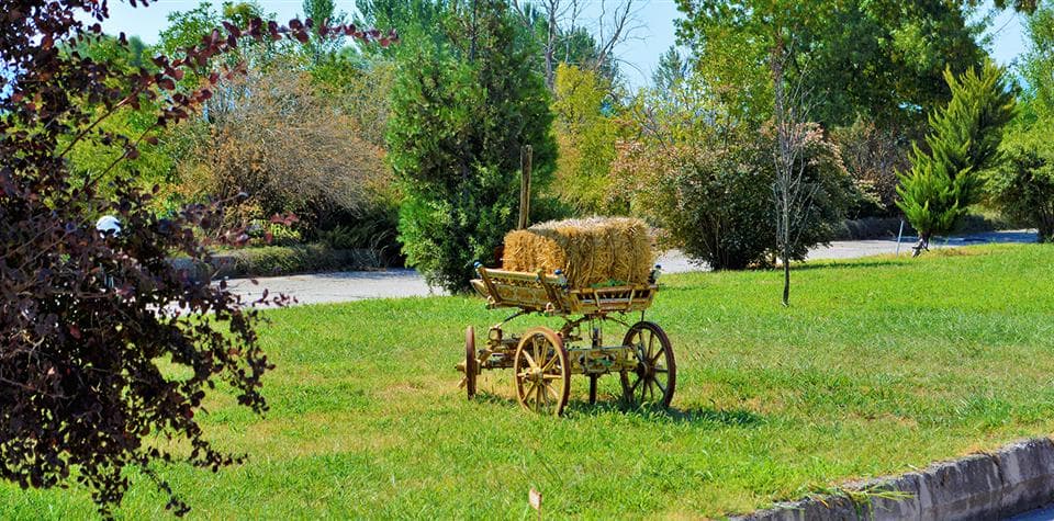 Onhann Thermal Hotel & Spa-42