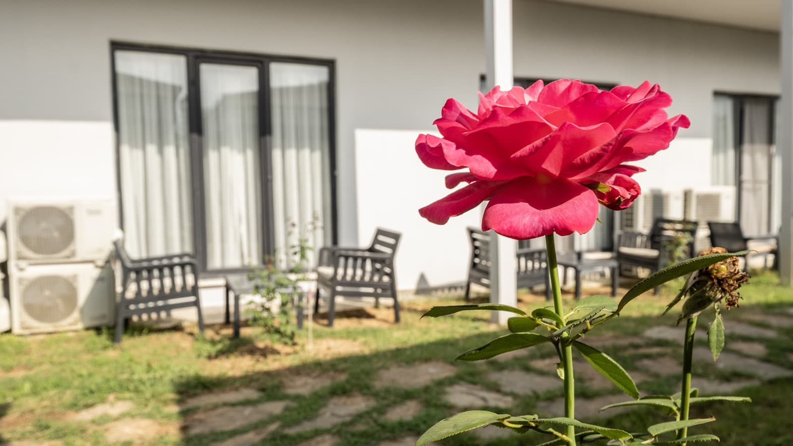 Yalıköy Deniz Otel-61