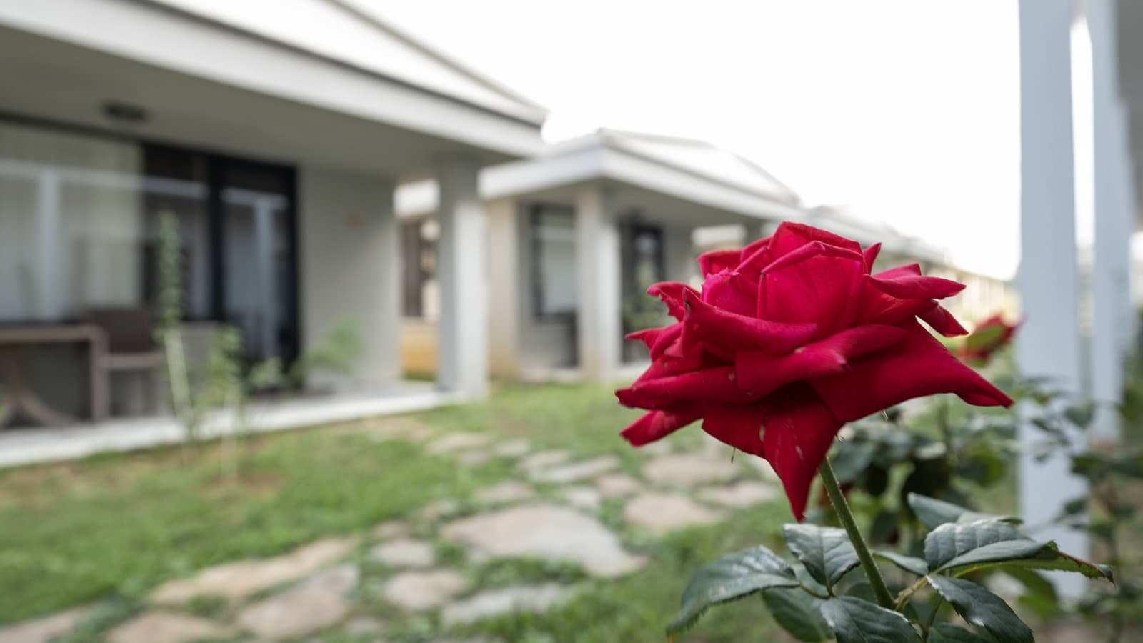 Yalıköy Deniz Otel-54