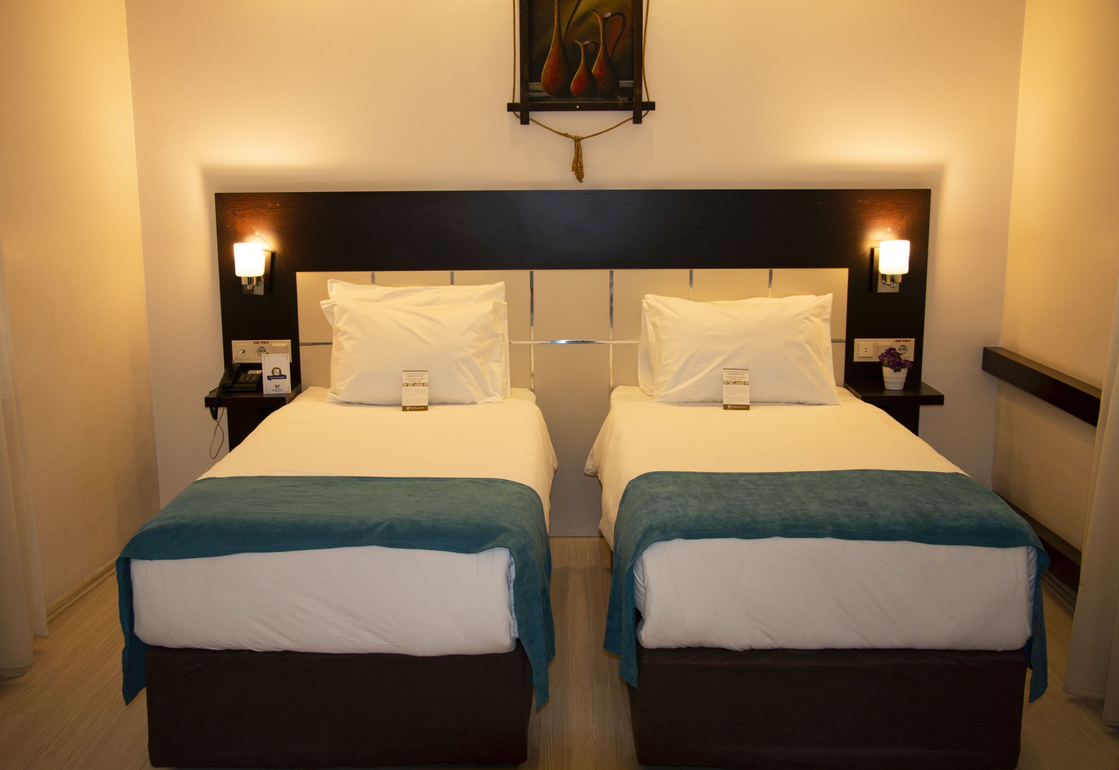 Büyük Veliç Hotel & SPA-6