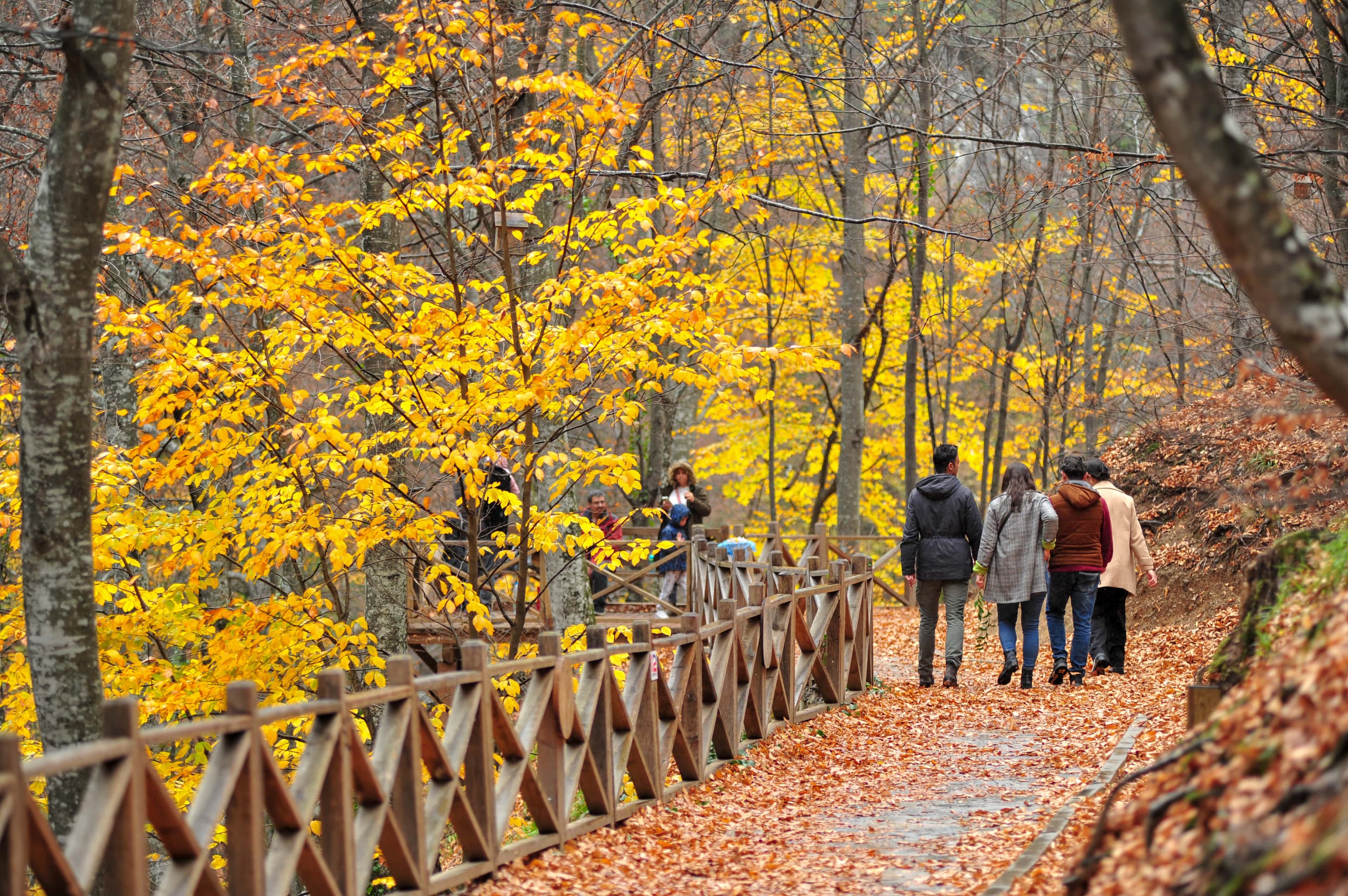 Oylat Kaplıcaları Aşiyan Otel-10