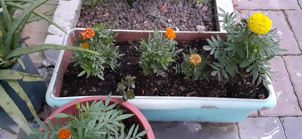 Manolya Otel Bodrum-13