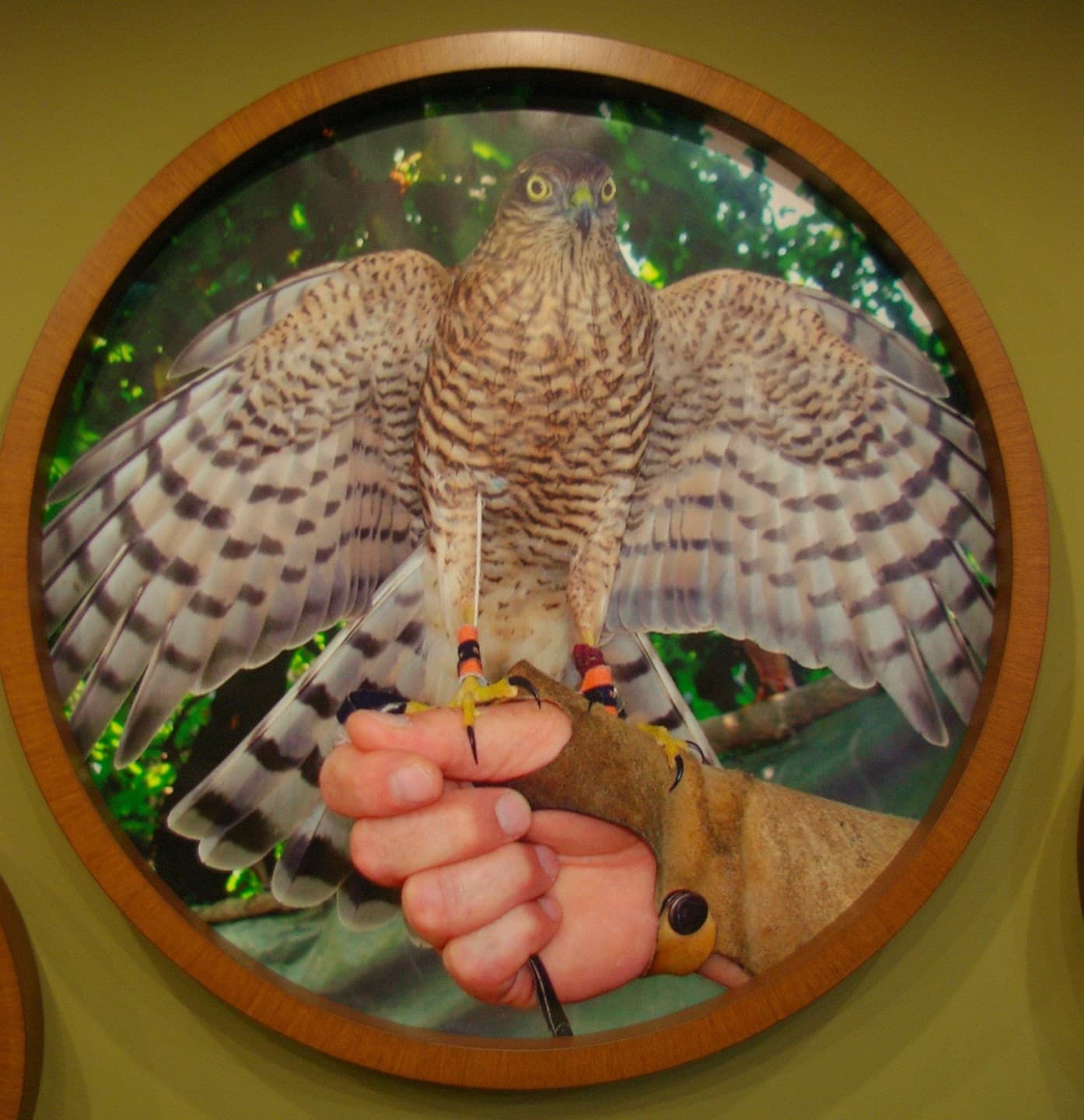 Hopa Heyamo Hotel-14