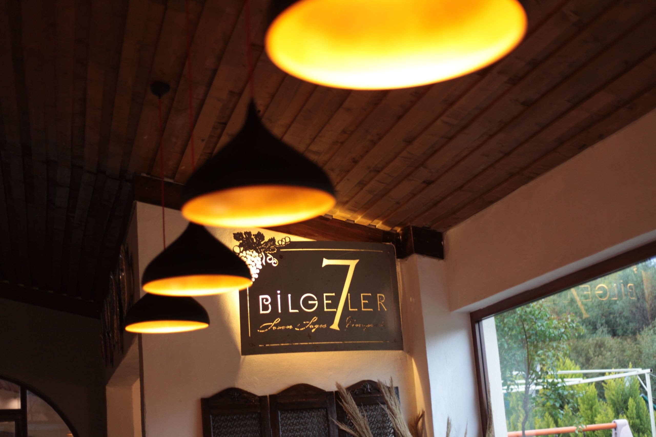 Vinifera Vineyards Yedibilgeler Hotel-60