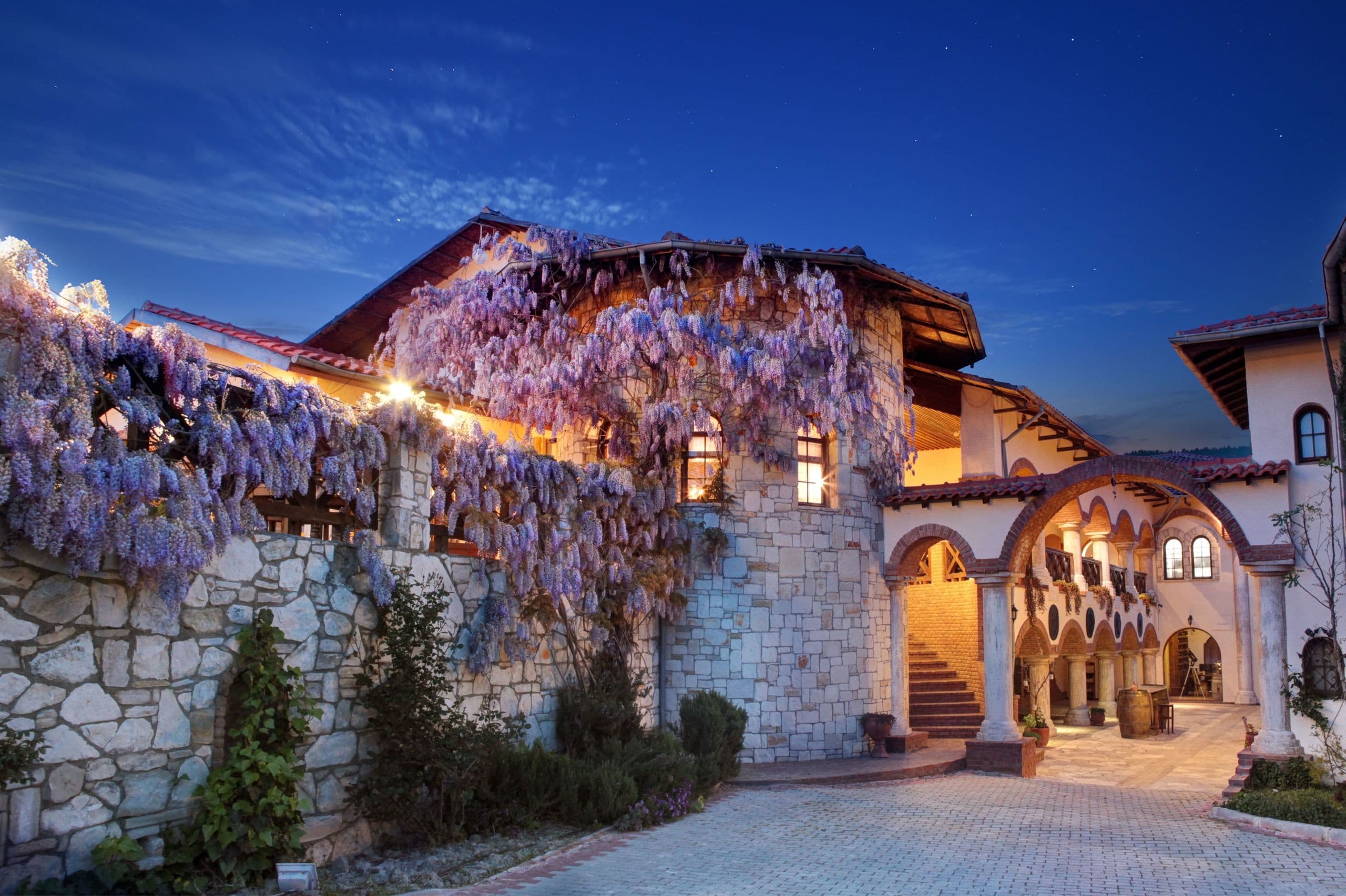 Vinifera Vineyards Yedibilgeler Hotel-116