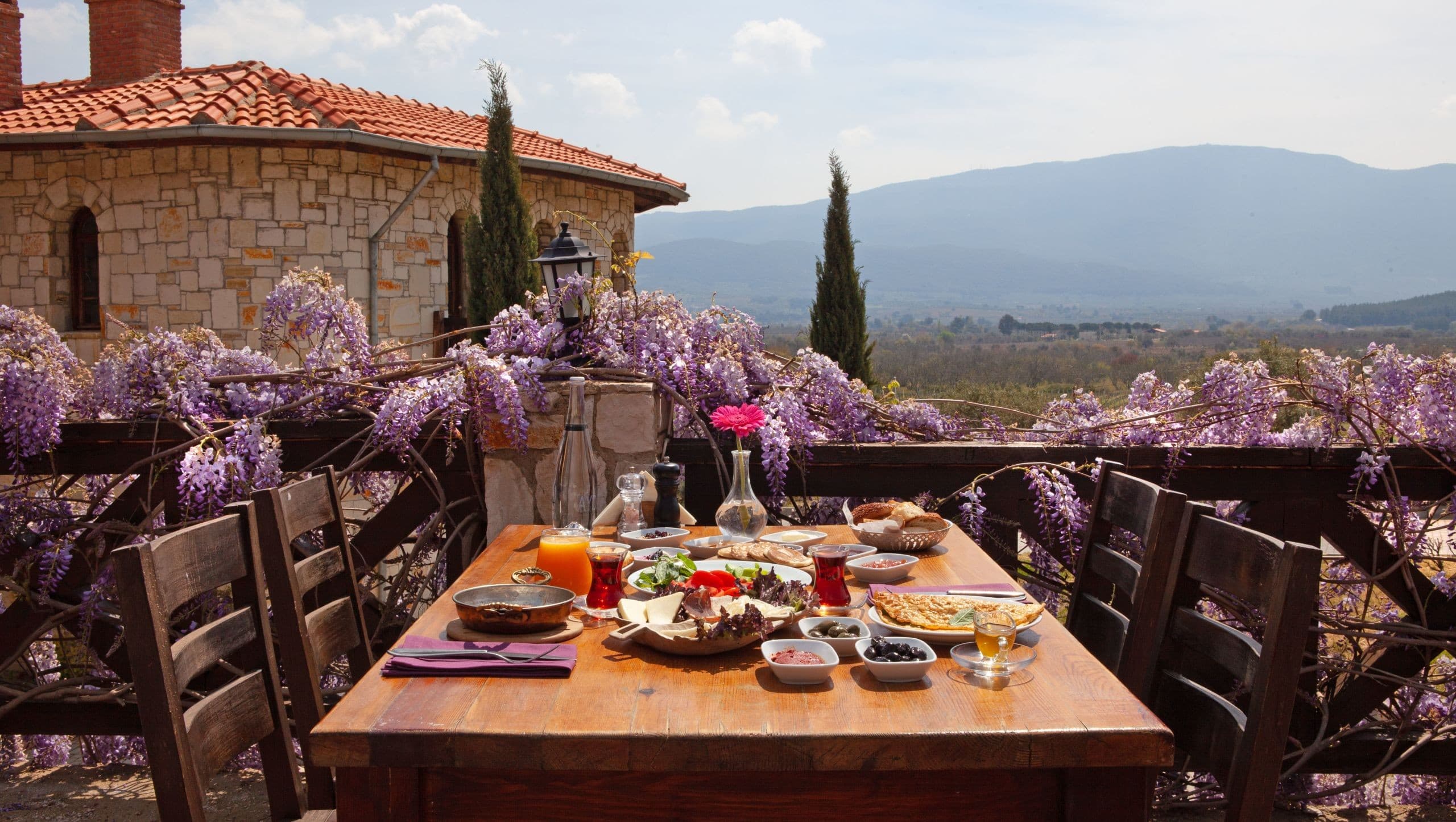 Vinifera Vineyards Yedibilgeler Hotel-57