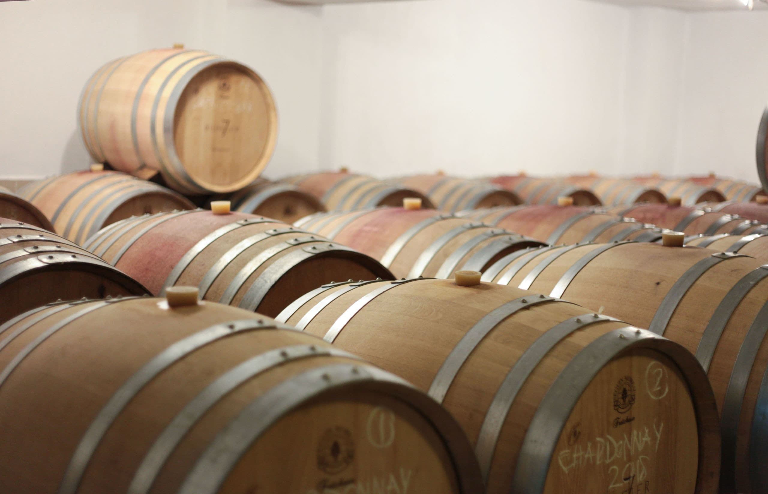 Vinifera Vineyards Yedibilgeler Hotel-26