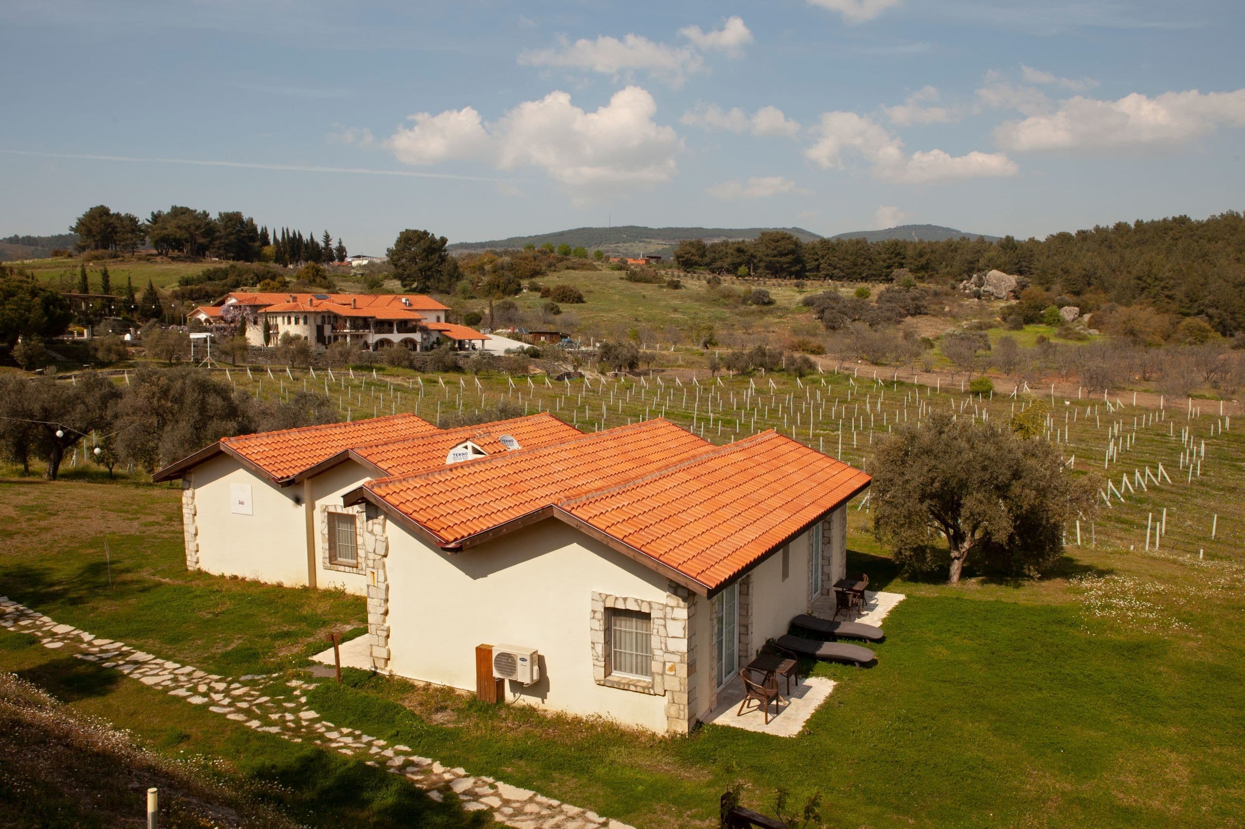 Vinifera Vineyards Yedibilgeler Hotel-11