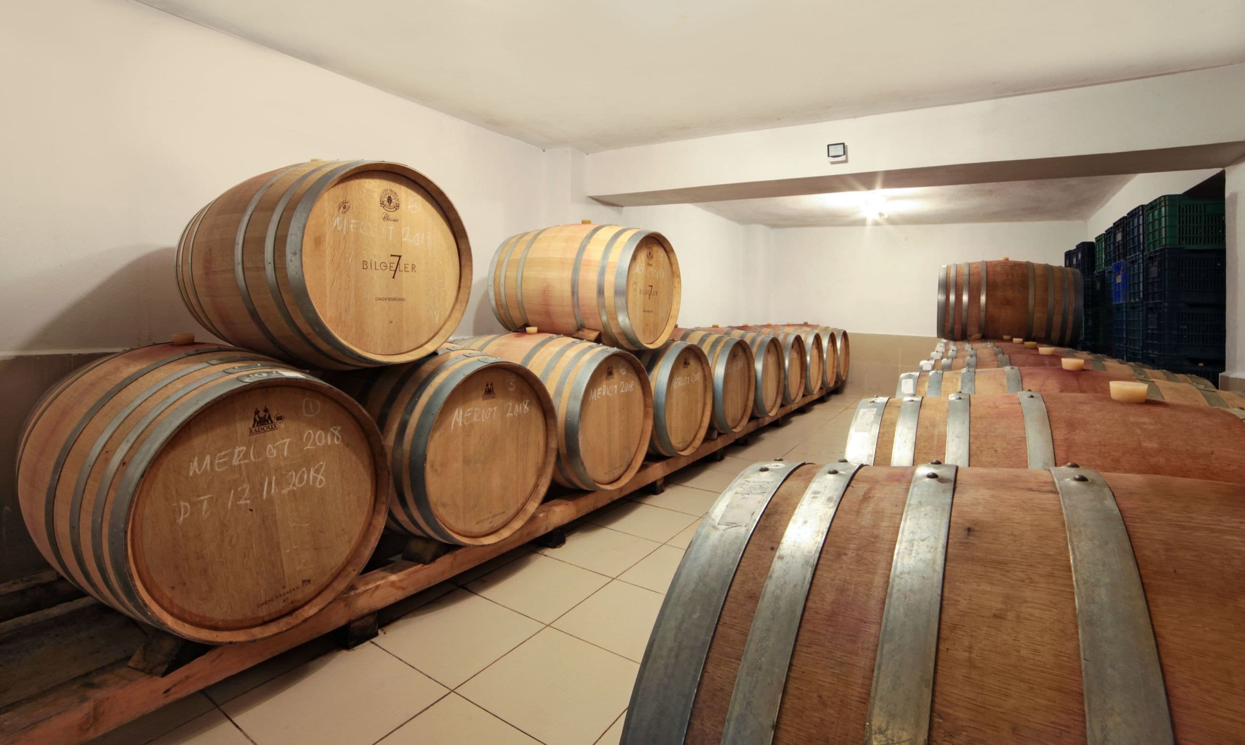 Vinifera Vineyards Yedibilgeler Hotel-24