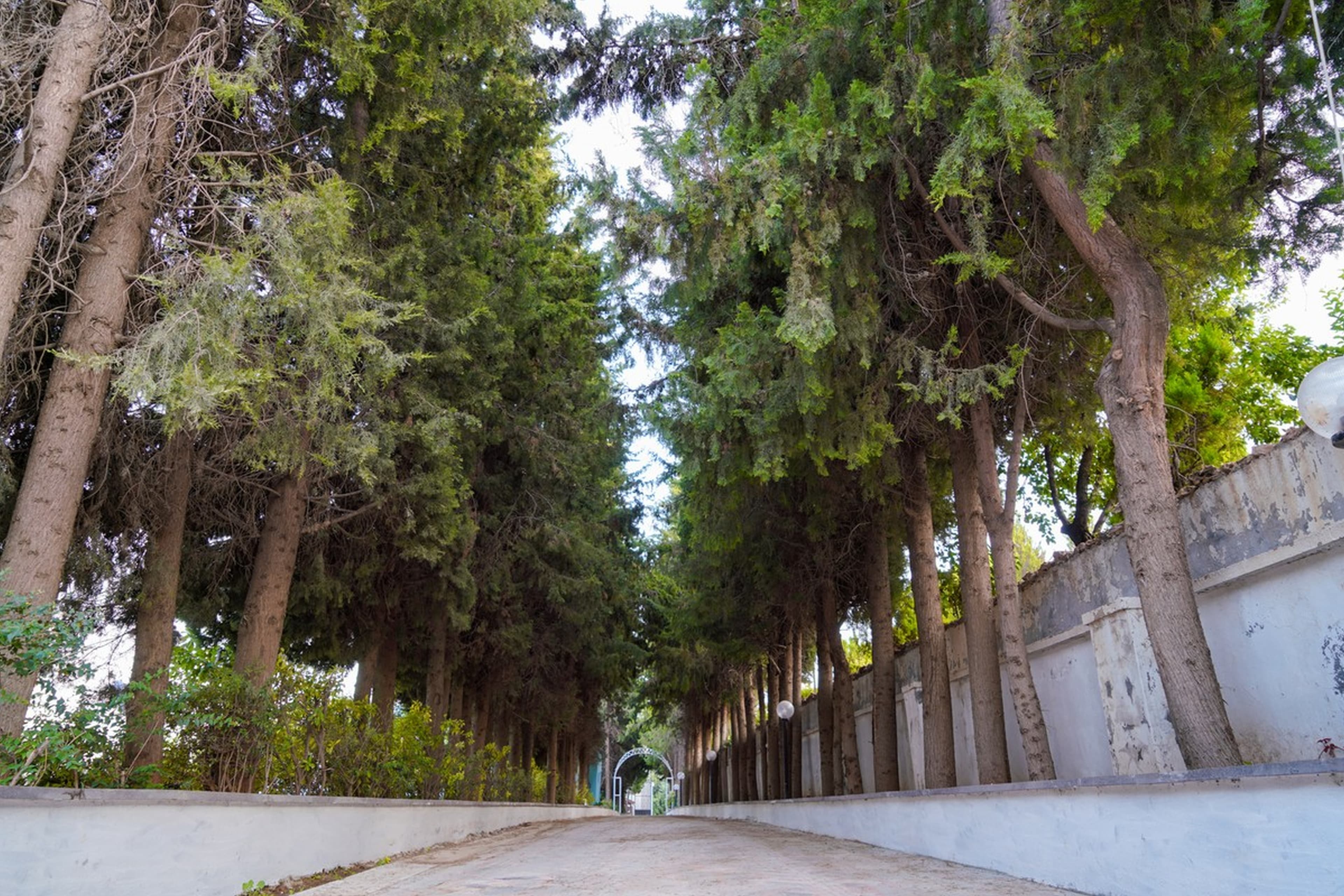 Uğurlu Thermal Tatil Köyü-41