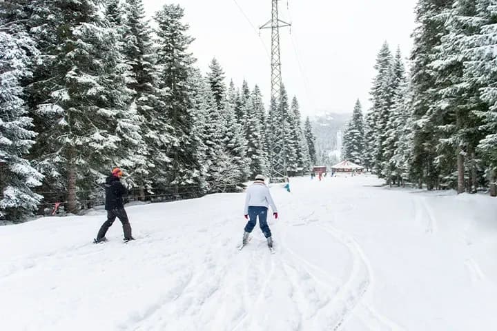 Ilgaz Mountain Resort&Hotel-23
