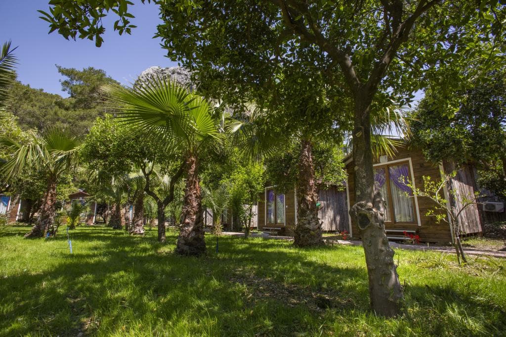 Likya Evleri Olympos-32