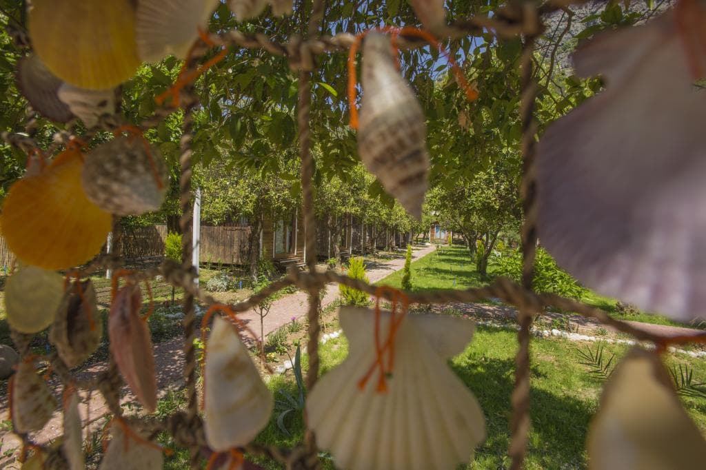 Likya Evleri Olympos-25