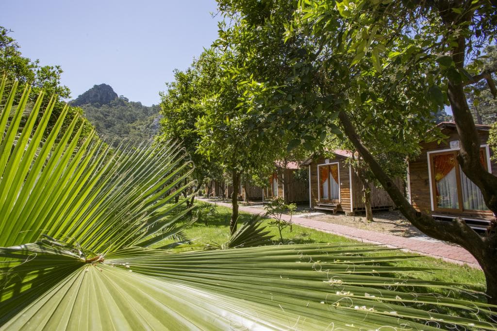 Likya Evleri Olympos-23