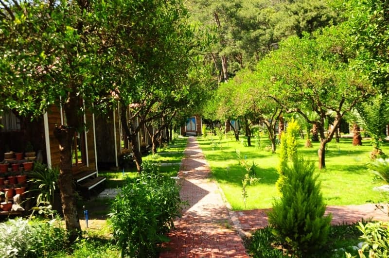 Likya Evleri Olympos-resim-2