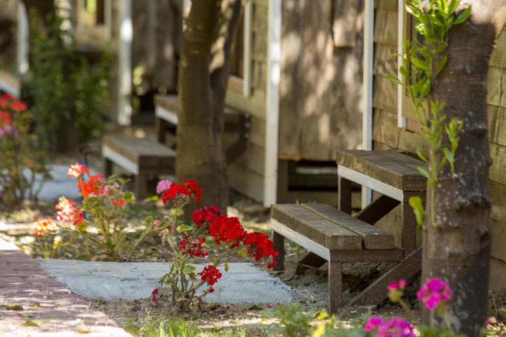 Likya Evleri Olympos-33