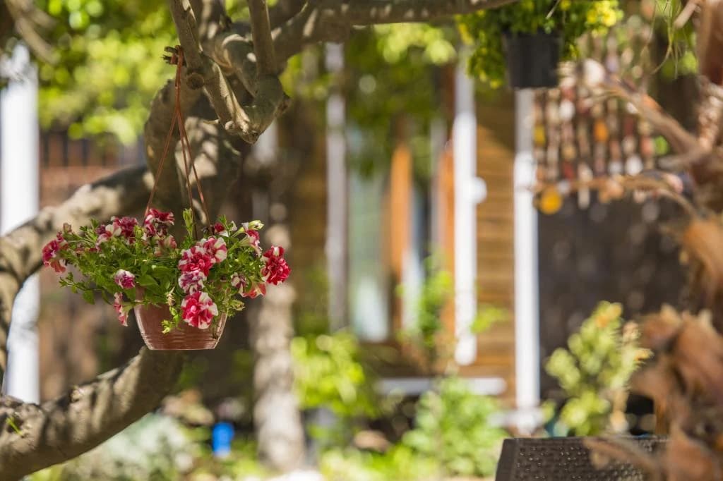 Likya Evleri Olympos-24