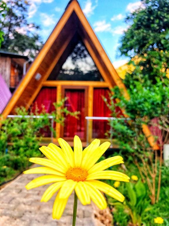 Likya Evleri Olympos-15