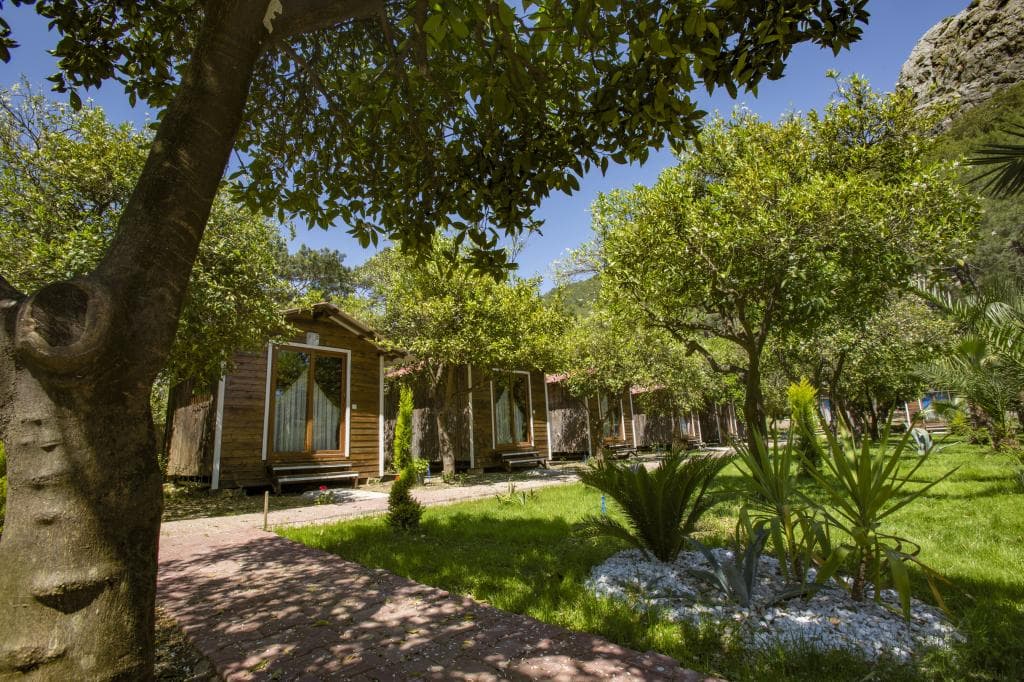 Likya Evleri Olympos-34