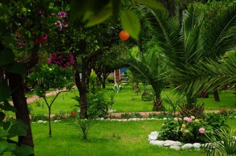 Likya Evleri Olympos-resim-5