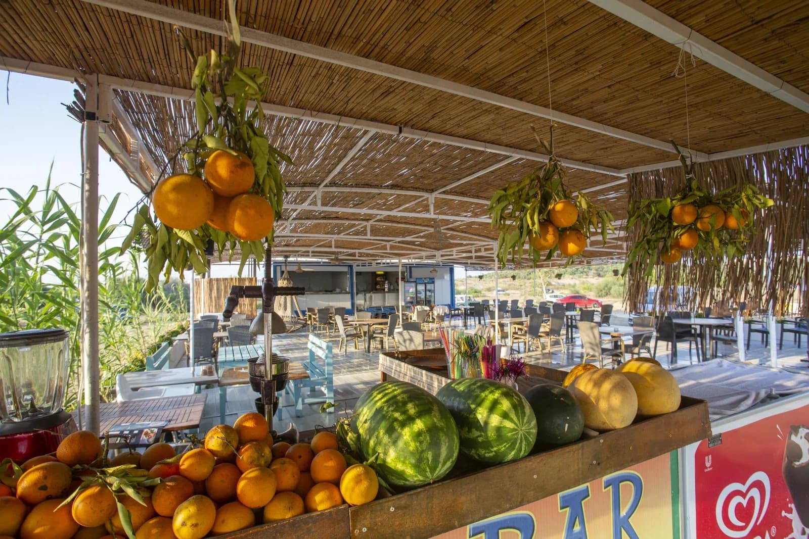 İrem Garden Apart Hotel-46