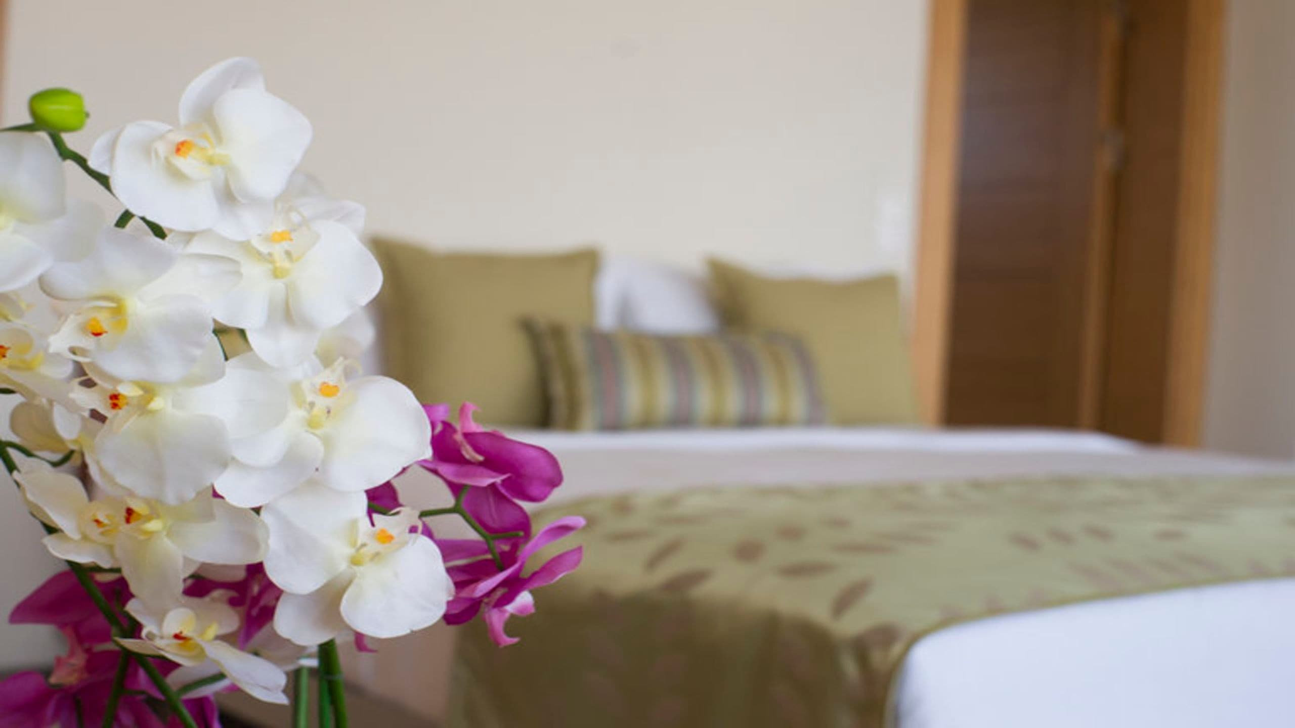 Wame Suite Hotel Nişantaşı-16