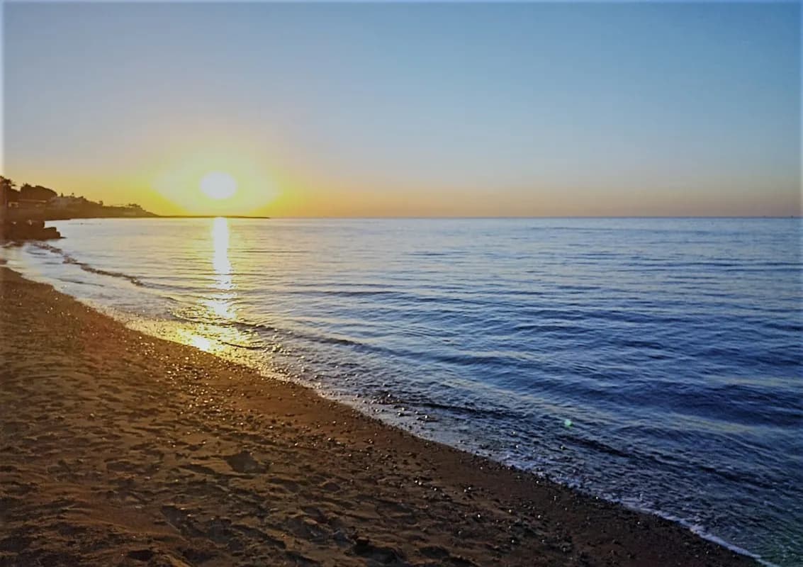 Diva Turka Beach Hotel-15