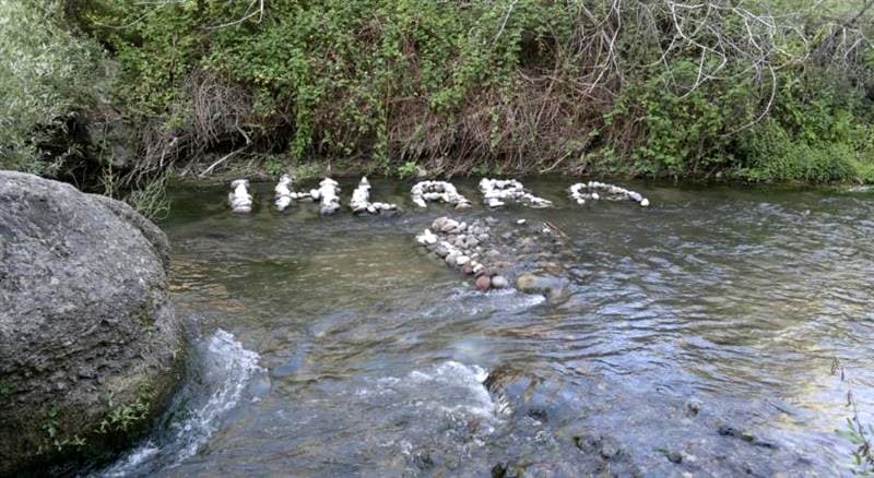 Gold Vizyon Hotel -19